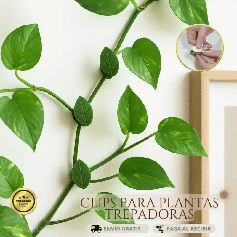 Set 50 Clips para Plantas Trepadoras Green House ®