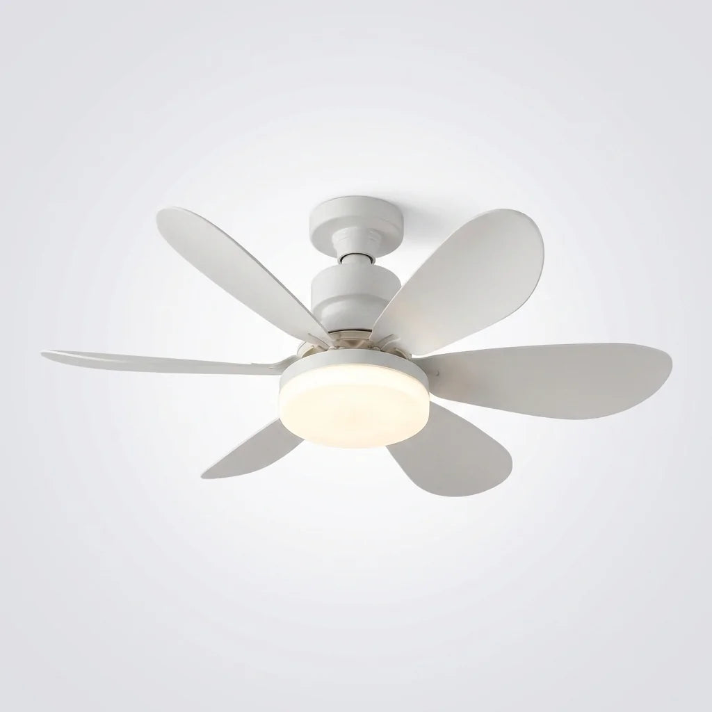 aerolight-features.webp